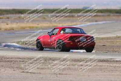 media/Oct-04-2025-OnGrid (Sat) [[44bd565ffa]]/Green Group/Grapevine/